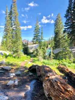 Red Pine Lake Trail Pursuing Balance Through Adventure