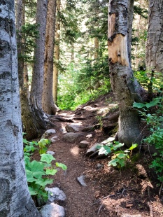 Red Pine Lake Trail Pursuing Balance Through Adventure